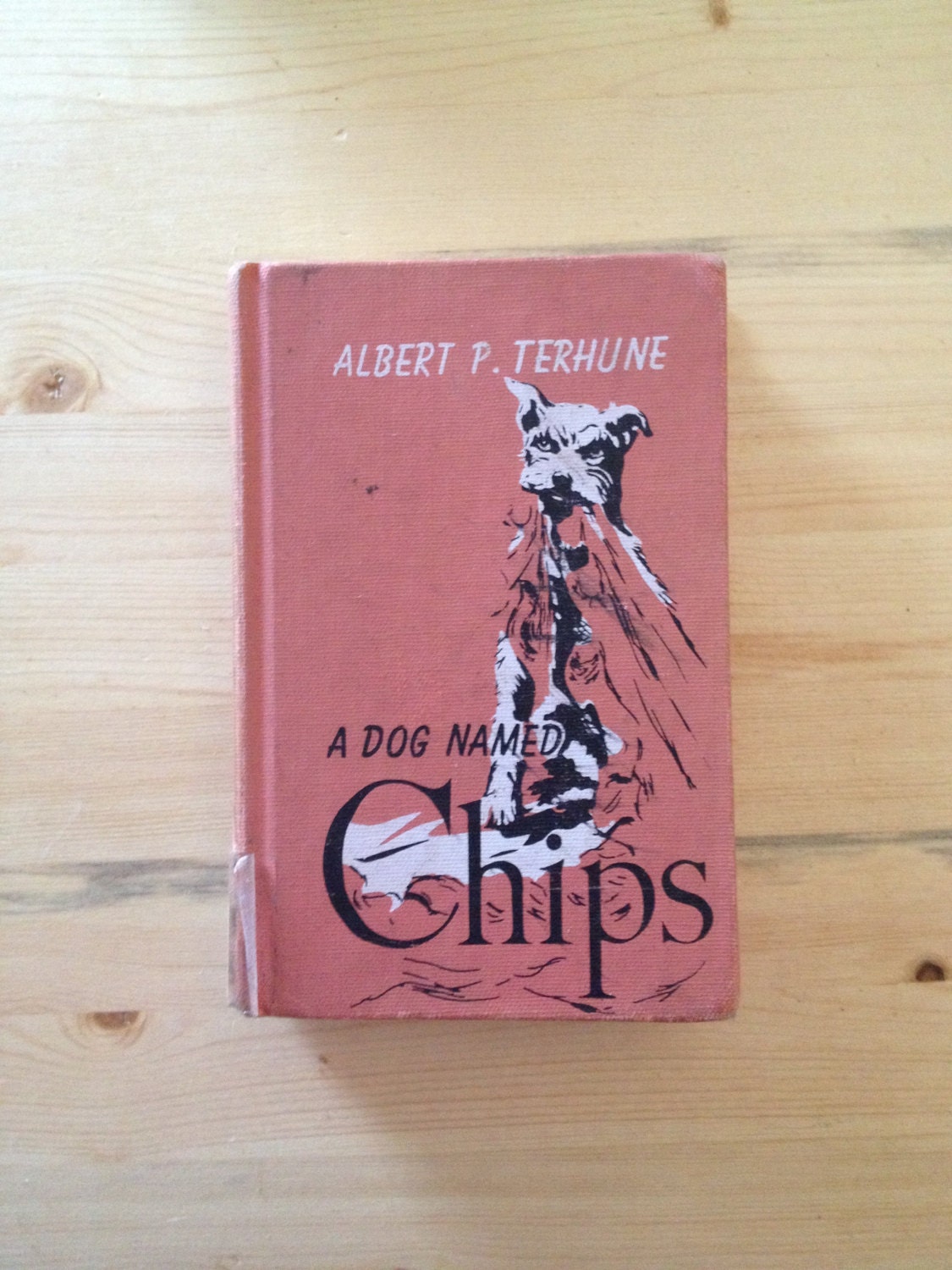 A Dog Named Chips - Albert P. Terhune - 1931 Children's Book