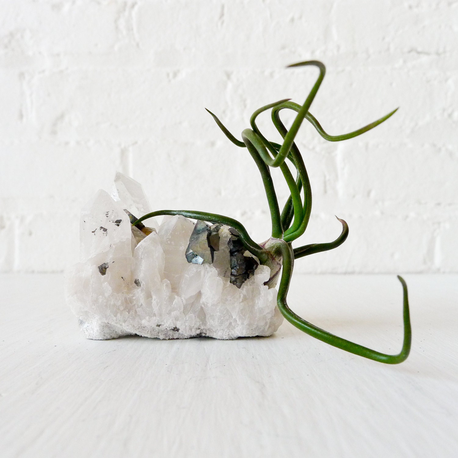 Air Plant Crystal Garden - Quartz and Sphalerite Crystal LIVE Air Plant Garden