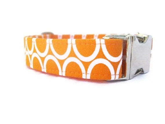 Orange  Dog Collar with Nickel Hardware - Tangerine Circles