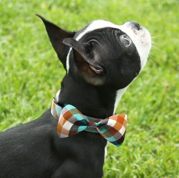 Bowtie Collar -Plaid Emerald Orange-