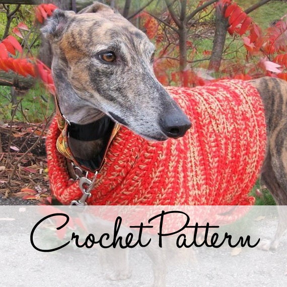 Instant Download - PDF Crochet Pattern for Greyhound Dog Vest