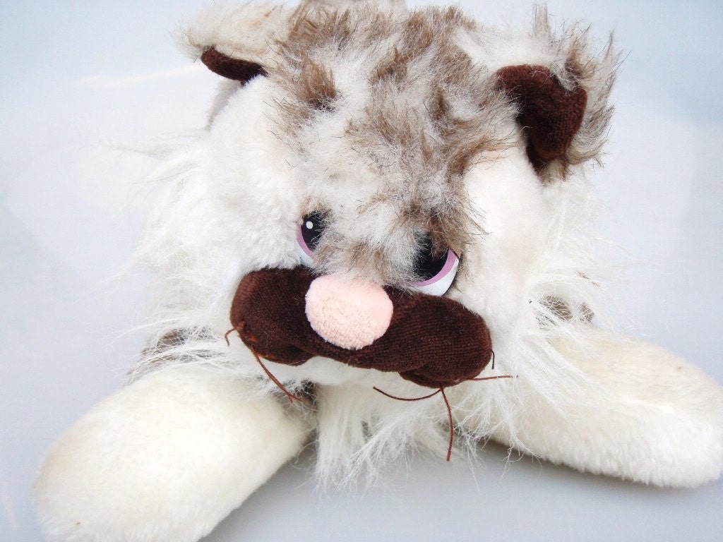 Pound Purries Furries Tortoiseshell Calico Fluffy Plush Mommy Momma Kitty Cat