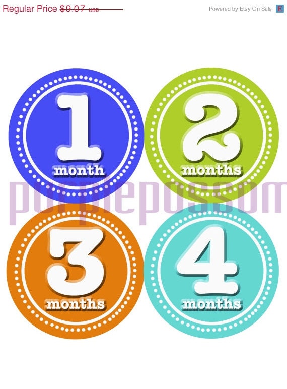 Baby Month Stickers Baby Boy Monthly Onesie Stickers Monthly Baby Sticker Boy Baby Shower Gift Photo Prop Baby Milestone