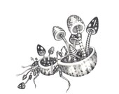 Of Squaler And Prose Illustration