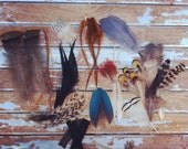 Feather Earrings - DIY KIT to Make 3 or more Pairs of Your Own Earrings NATURALS