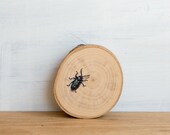 Spotted Beetle Original Insect Painting by Mara Minuzzo - Chrysobothris Chryscela Beetle