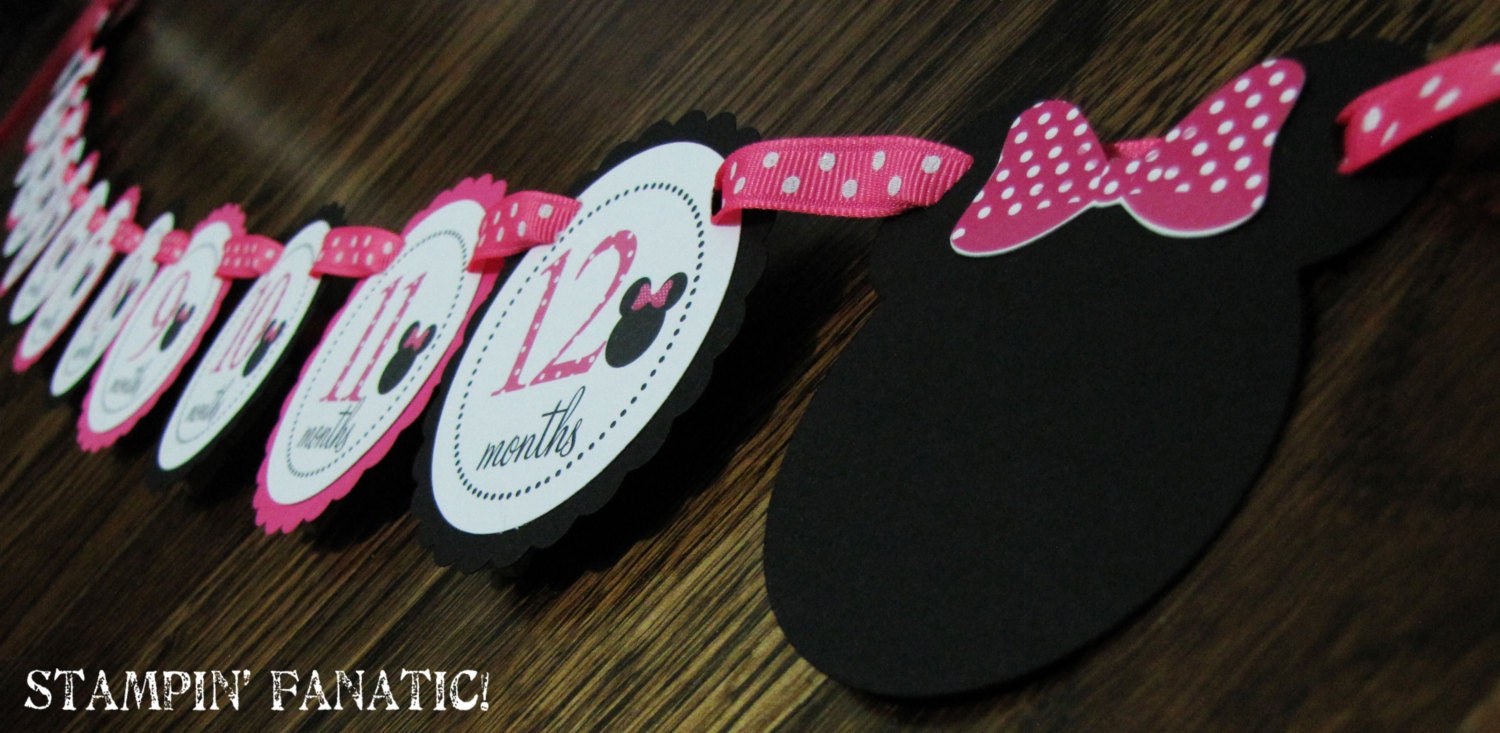 Minnie Mouse Inspired. Just Born/0-12 mos Picture Hanging Banner. Black and Hot Pink. First Birthday Banner. Minnie Photo Banner. Il_570xn