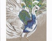 PEACOCK original painting OSWOA Bird Painting / Bird Art /Wall Art