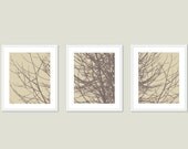 Modern Tree Branches Digital Print Set, Woodland Home Decor - Tan and Brown - Neautrals - Contemporary Wall Art Illustration