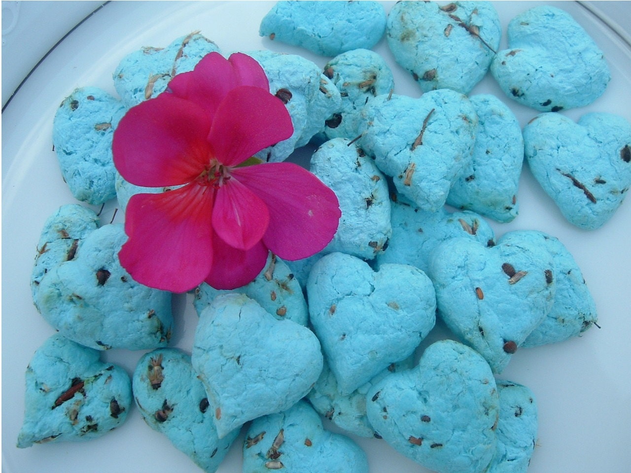 120 Plantable Earth-Friendly Favor hearts.