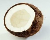 6 Coconut Scented Candle Tarts Wax Melts 6oz