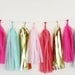 Tissue Tassel Garland-18 tassels- Summer Dreams