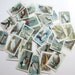 30 Vintage Useful Birds of America Cards 4th Series - Complete Set - 1924