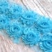 Shabby Rose Trim-Single Yard-Light Turquoise