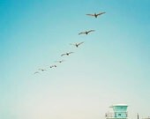 Summer Sky, Pelicans, Lifeguard  Tower, Aqua, Beach Decor, California, Pelican Photograph, Beach Photography, Landscape , 8x10