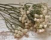 Artificial Flowers - Plastic Baby's Breath Spray in Eggshell Off White - Gypsophila - Artificial Flowers, Greenery, Filler