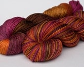 Silk/merino 50/50 fingering (sock) yarn, 3.5 oz: Camaraderie