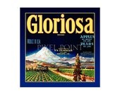 Small Journal - Gloriosa Brand Apples - Fruit Crate Art Print Cover