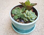 gift garden home decor Handmade ceramic mini succulent planter garden in lovely turqoise