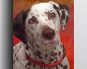 Liver Spotted Dalmatian - 5x7 Giclee print on canvas