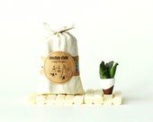 JUNE SALE - Adventure Sticks - Soap To Go. - Tea Tree Lime Vegan Travel Size Soap Sticks for your next Adventure