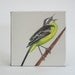 Original Painting Bird Art 8x8 painting Eastern Yellow Wagtail home decor ornithology gray green
