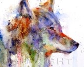 COYOTE Watercolor Print by Dean Crouser