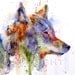 COYOTE Watercolor Print by Dean Crouser