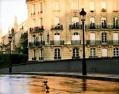 Paris Photography - France Photograph - Morning after the Rain - Fine Art Print - French Decor - Wall Art - Picture of Paris - Paris Photo