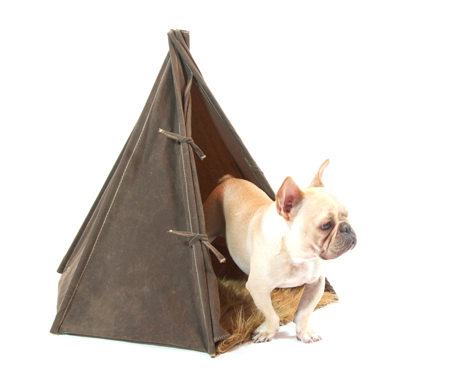 Deluxe Field Tent by GPD 30 inch