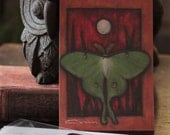 Fly Me to the Moon Luna Moth 5 x 7 Signed Print Collection Gallery Nature Butterfly Painting Wings Bird Art