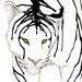 Made to Order - Tigerwith Wet Ink giclee print