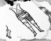 Exoskeleton (set of 6 tags)