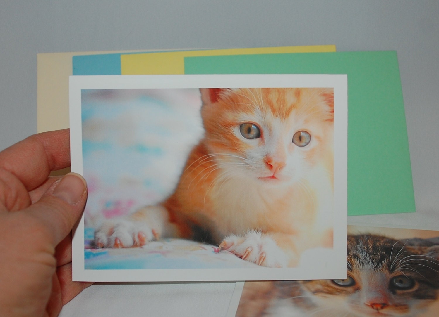 CAT KITTEN Note cards by Robin Seeber Pack of 4 note cards