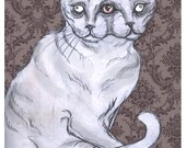 janus cat damask victorian postcard print 5 x 7