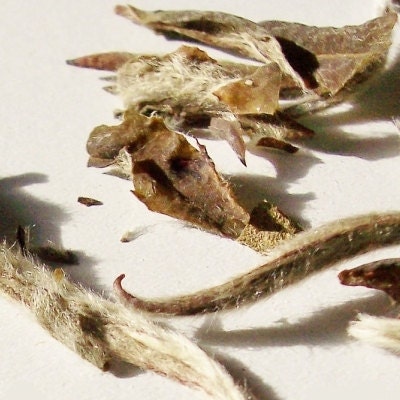 ORGANIC white spring loose leaf tea - - 2oz