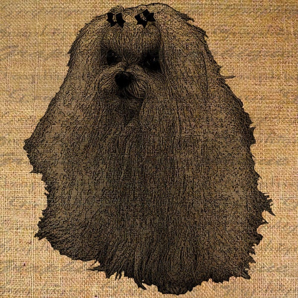 Adorable MALTESE Terrier Dog w Bows Digital Image Download Transfer To Pillows Tote Bags Tea Towels Burlap No. 4455