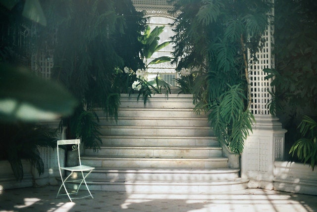 Parisian old greenhouse - 35mm film photography - 8x12 inch (20x30cm) fine art print - Home decor - Spring
