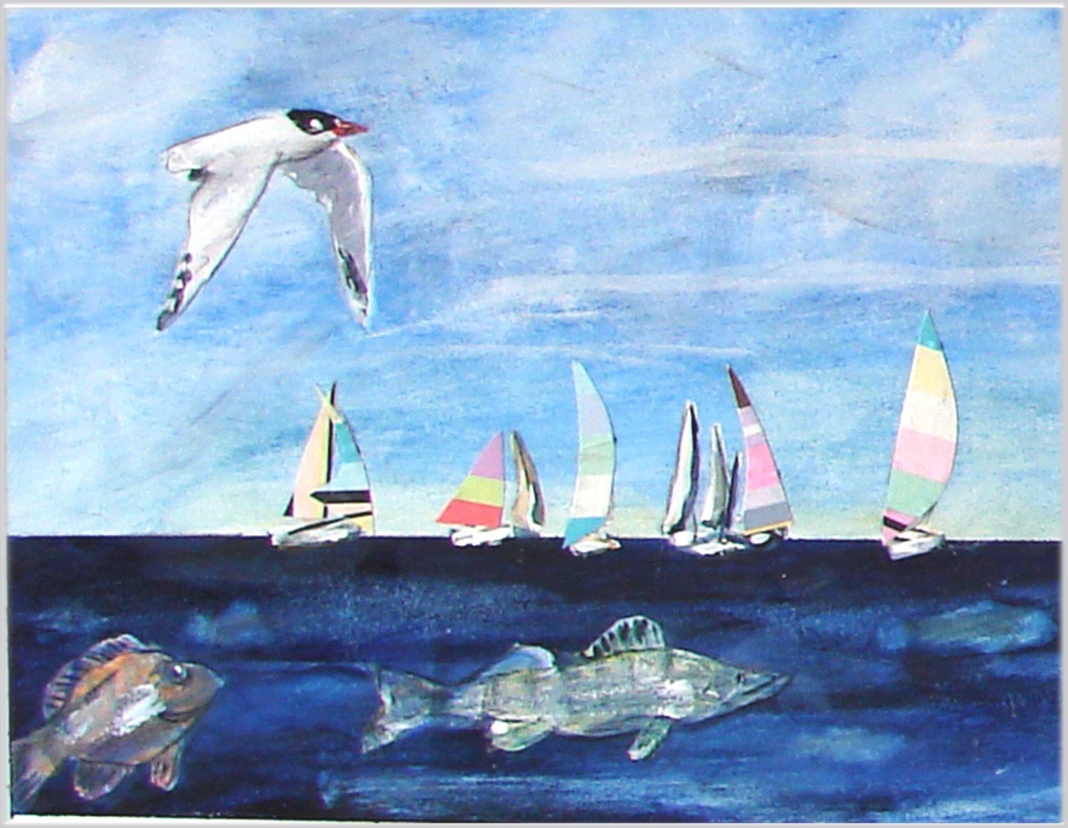Races on the Bay With Sailboats and Fish