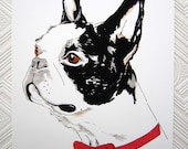 Boris The Boston Terrier - 8 x 11 inch Giclee Print - Boston Terrier in Red Bow Tie Illustration