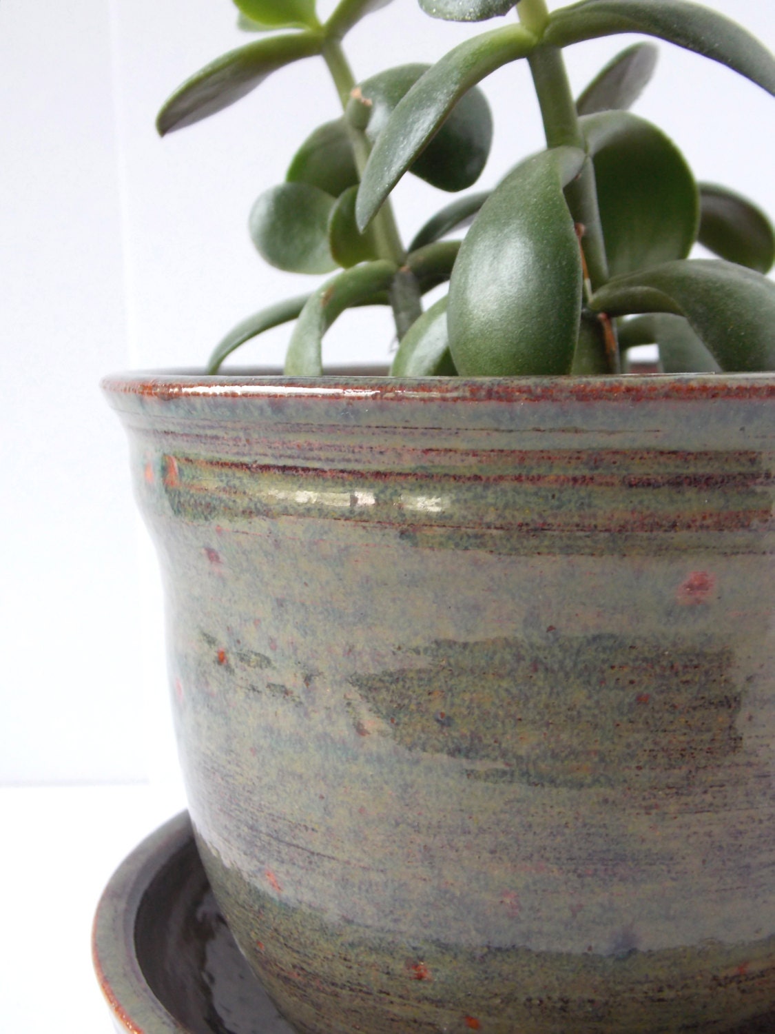 Moss green planter