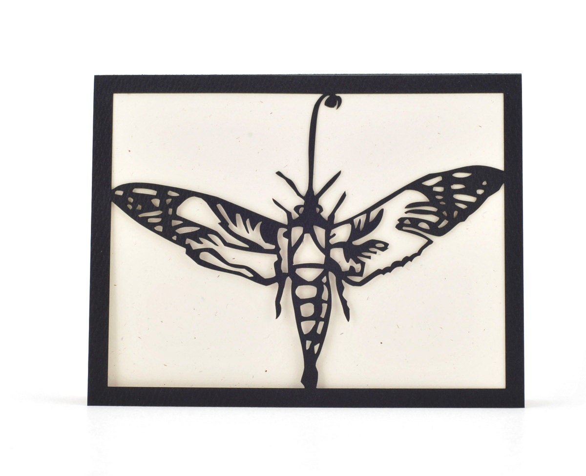 Sphingidae Moth - Cut Paper Greeting Card