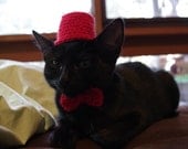 Dr Who Fez Hat And Bow Tie For a Cat