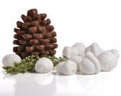 Heart Of The Forest Soap Set - Pine cone & Acorn soaps