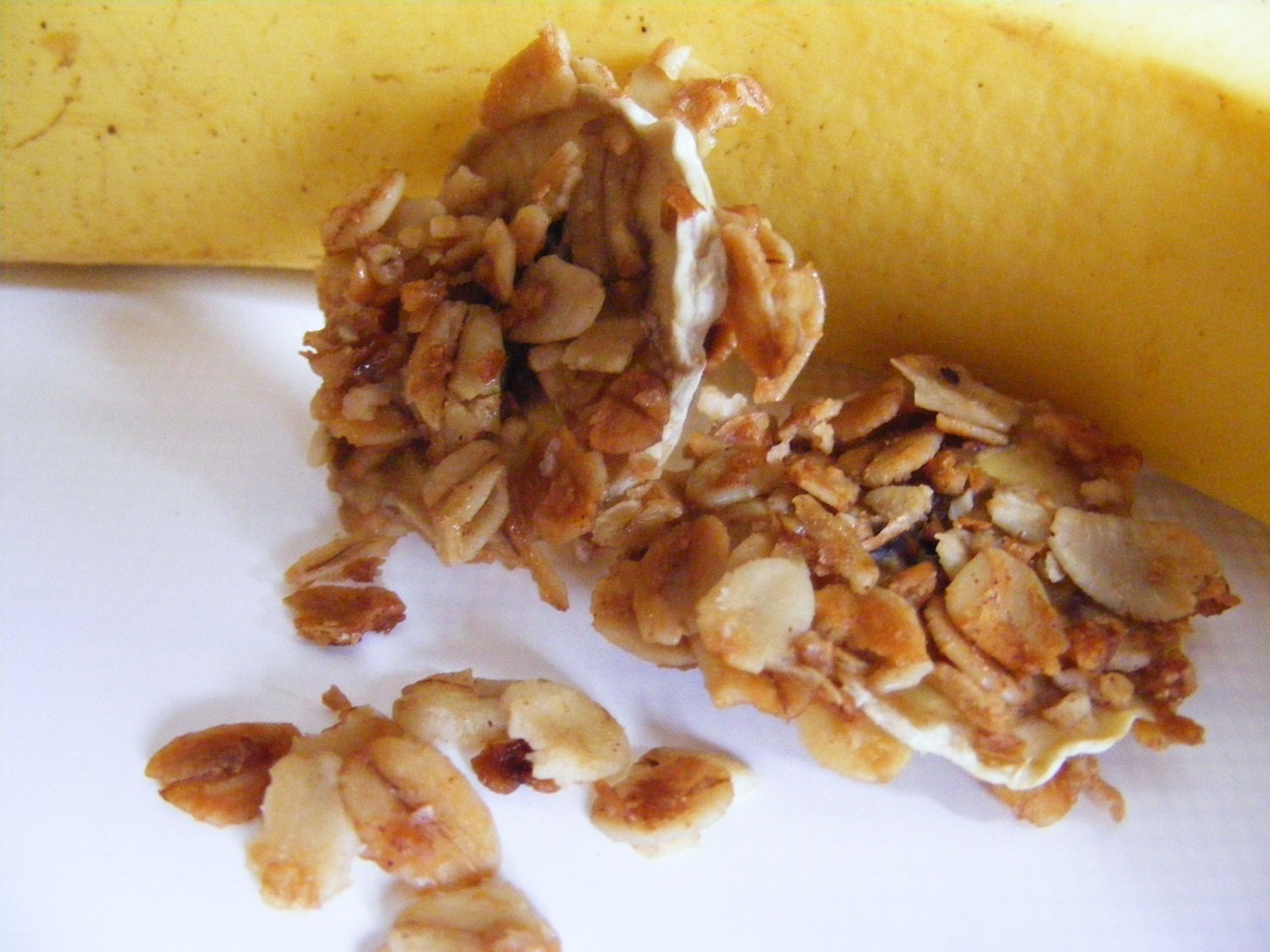 GO BaNaNaS over Banana chips with Granola - Easy Healthy Breakfast  ON - the - GO - The Take a Long Tasty Treat - no sugar added