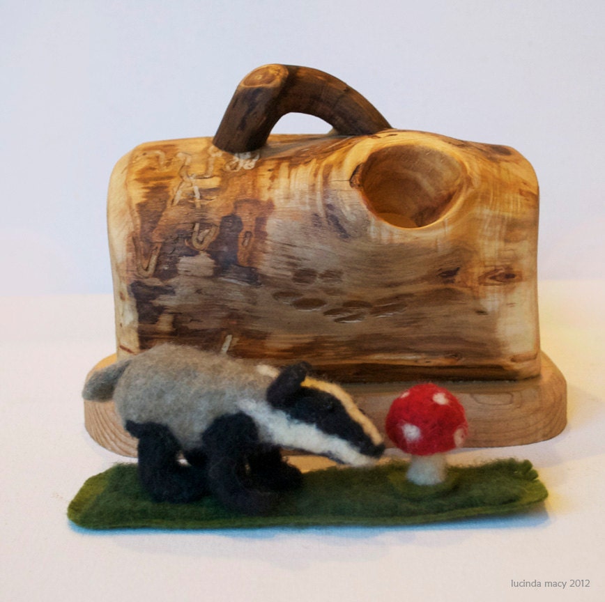 Little Badger in His Log