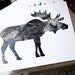 Box Of Antlers : Note Card Gift Set - Moose, Caribou, Elk - Woodland Animals Silhouettes, Eco Friendly Recycled