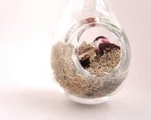 Hanging Terrarium with Tiny Bird