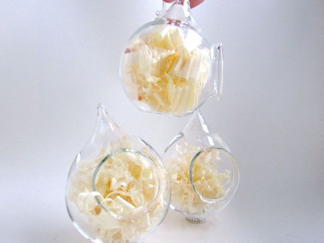 Hanging Tear Drop Glass Terrarium- 3 Inch