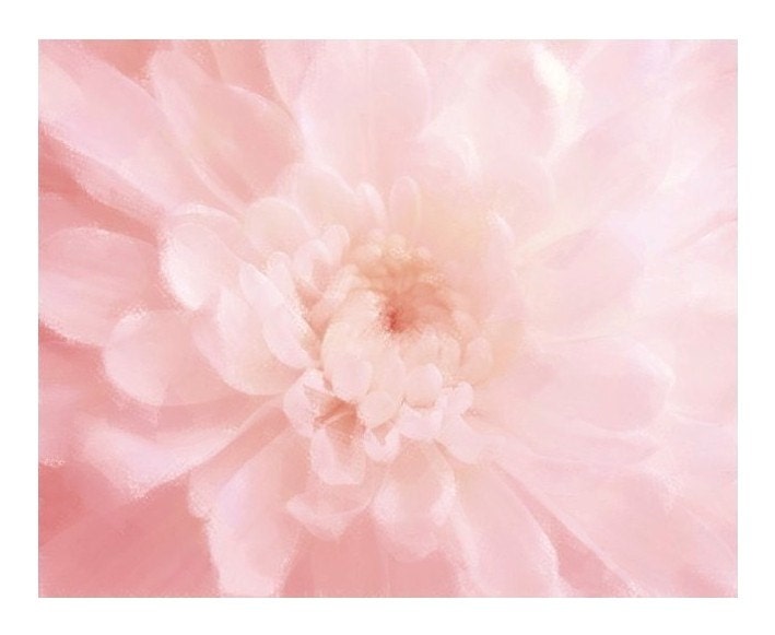 Painted Pink Mum Photograph,10 x 8, Pastel Pink Iridescent Mum, Pretty In Pink, Wedding, Nursery, Anniversary, Macro Modern Mum - LovesParisStudio